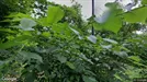 Lägenhet till salu, Västerort, &lt;span class=&quot;blurred street&quot; onclick=&quot;ProcessAdRequest(5069915)&quot;&gt;&lt;span class=&quot;hint&quot;&gt;Se gatunamn&lt;/span&gt;[xxxxxxxxxx]&lt;/span&gt;