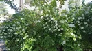 Bostadsrätt till salu, Botkyrka, Tullinge, &lt;span class=&quot;blurred street&quot; onclick=&quot;ProcessAdRequest(5123053)&quot;&gt;&lt;span class=&quot;hint&quot;&gt;Se gatunamn&lt;/span&gt;[xxxxxxxxxx]&lt;/span&gt;