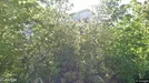 Lägenhet att hyra, Tomelilla, &lt;span class=&quot;blurred street&quot; onclick=&quot;ProcessAdRequest(5166931)&quot;&gt;&lt;span class=&quot;hint&quot;&gt;Se gatunamn&lt;/span&gt;[xxxxxxxxxx]&lt;/span&gt;