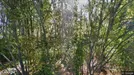 Lägenhet att hyra, Öckerö, &lt;span class=&quot;blurred street&quot; onclick=&quot;ProcessAdRequest(5307319)&quot;&gt;&lt;span class=&quot;hint&quot;&gt;Se gatunamn&lt;/span&gt;[xxxxxxxxxx]&lt;/span&gt;