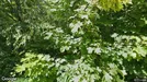 Lägenhet att hyra, Söderort, &lt;span class=&quot;blurred street&quot; onclick=&quot;ProcessAdRequest(5362870)&quot;&gt;&lt;span class=&quot;hint&quot;&gt;Se gatunamn&lt;/span&gt;[xxxxxxxxxx]&lt;/span&gt;
