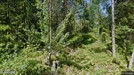 Lägenhet till salu, Tyresö, Ullbergsvägen<span class="blurred street-number" onclick="ProcessAdRequest(5533398)"><span class="hint">Se väg-nr</span>[xxxxxxxx]</span>