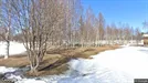 Lägenhet att hyra, Skellefteå, N Kustvägen