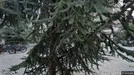 Lägenhet att hyra, Malmö Centrum, Stora Kvarngatan