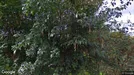 Lägenhet att hyra, Tyresö, Södergårdsvägen<span class="blurred street-number" onclick="ProcessAdRequest(5870598)"><span class="hint">Se väg-nr</span>[xxxxxxxx]</span>