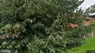 Lägenhet att hyra, Växjö, Ingelstad, Kopparslagarbacken<span class="blurred street-number" onclick="ProcessAdRequest(5884520)"><span class="hint">Se väg-nr</span>[xxxxxxxx]</span>