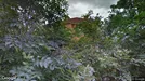 Lägenhet till salu, Helsingborg, Cederströmsgatan<span class="blurred street-number" onclick="ProcessAdRequest(5962832)"><span class="hint">Se väg-nr</span>[xxxxxxxx]</span>