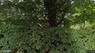 Lägenhet att hyra, Burlöv, Åkarp, Hasselvägen<span class="blurred street-number" onclick="ProcessAdRequest(6124307)"><span class="hint">Se väg-nr</span>[xxxxxxxx]</span>