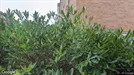 Lägenhet att hyra, Lund, Fjelievägen<span class="blurred street-number" onclick="ProcessAdRequest(6207800)"><span class="hint">Se väg-nr</span>[xxxxxxxx]</span>