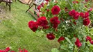 Rum att hyra, Järfälla, &lt;span class=&quot;blurred street&quot; onclick=&quot;ProcessAdRequest(4693478)&quot;&gt;&lt;span class=&quot;hint&quot;&gt;Se gatunamn&lt;/span&gt;[xxxxxxxxxx]&lt;/span&gt;