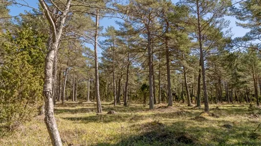 Tomter till salu i Gotland - foto 6