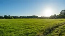 Tomt till salu, Gävle, &lt;span class=&quot;blurred street&quot; onclick=&quot;ProcessAdRequest(4745140)&quot;&gt;&lt;span class=&quot;hint&quot;&gt;Se gatunamn&lt;/span&gt;[xxxxxxxxxx]&lt;/span&gt;