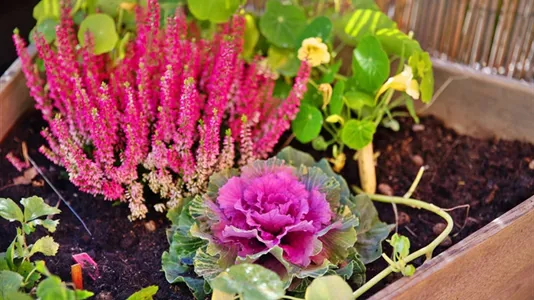 Bostadsrätter till salu i Söderort - foto 11