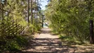Tomt till salu, Gotland, Gotlands Tofta, &lt;span class=&quot;blurred street&quot; onclick=&quot;ProcessAdRequest(5130232)&quot;&gt;&lt;span class=&quot;hint&quot;&gt;Se gatunamn&lt;/span&gt;[xxxxxxxxxx]&lt;/span&gt;
