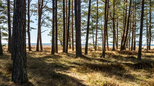 Fritidshus till salu i Gotland - foto 5