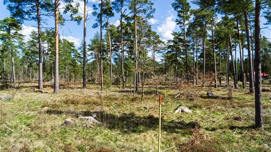 Tomter till salu i Gotland - foto 7