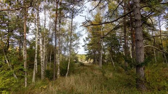 Tomter till salu i Gotland - foto 4