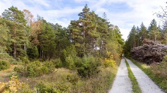 Tomter till salu i Gotland - foto 3