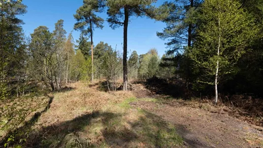 Tomter till salu i Gotland - foto 3
