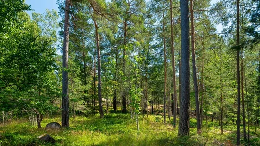 Bostadsrätter till salu i Söderort - foto 9