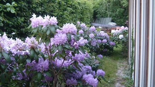 Lägenheter i Mölndal - foto 2