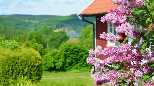 Fritidshus till salu i Munkedal - foto 9