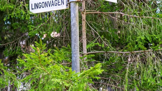 Tomter till salu i Gotland - foto 6