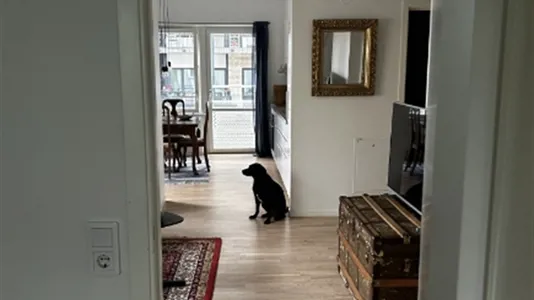 Lägenheter i Malmö Centrum - foto 3