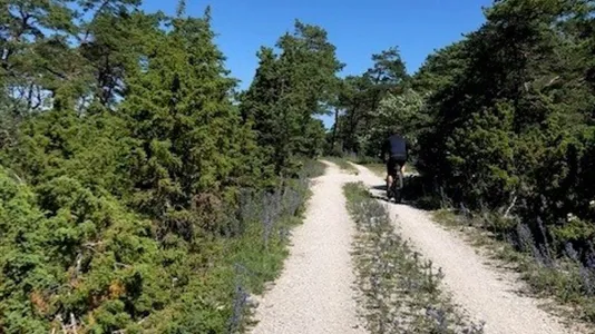 Tomter till salu i Gotland - foto 10