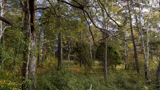 Tomter till salu i Gotland - foto 5