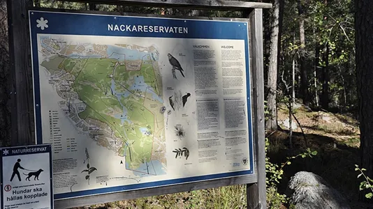 Bostadsrätter till salu i Söderort - foto 5