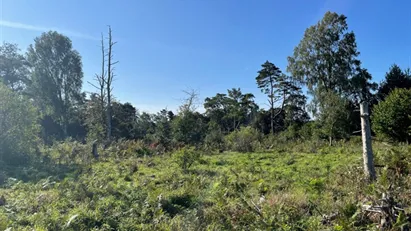 Markområde i Sundre