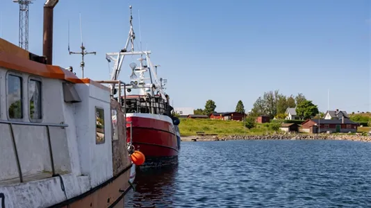 Fritidshus till salu i Gotland - foto 5