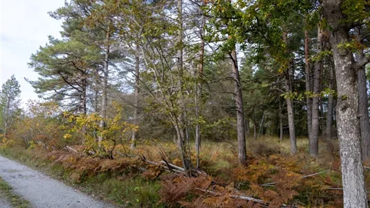 Tomter till salu i Gotland - foto 2