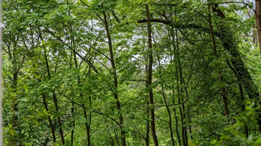 Bostadsrätter till salu i Södermalm - foto 3