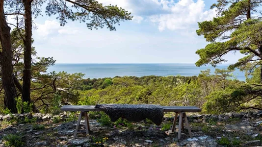 Fritidshus till salu i Gotland - foto 6