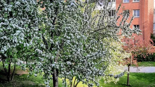 Bostadsrätter till salu i Nässjö - foto 12