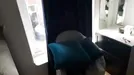 Rum att hyra, Östermalm, &lt;span class=&quot;blurred street&quot; onclick=&quot;ProcessAdRequest(5209049)&quot;&gt;&lt;span class=&quot;hint&quot;&gt;Se gatunamn&lt;/span&gt;[xxxxxxxxxx]&lt;/span&gt;