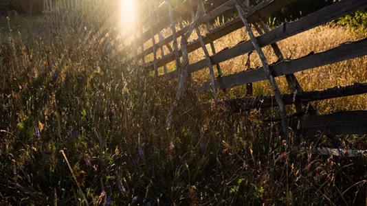 Tomter till salu i Gotland - foto 4