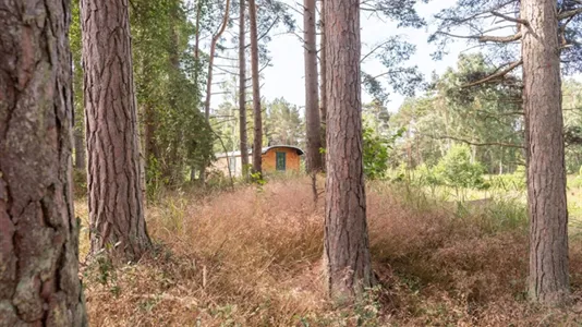 Tomter till salu i Gotland - foto 5