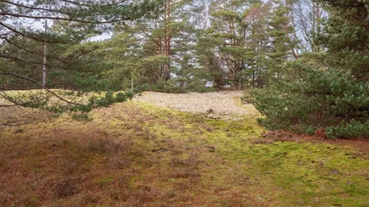 Tomter till salu i Gotland - foto 15