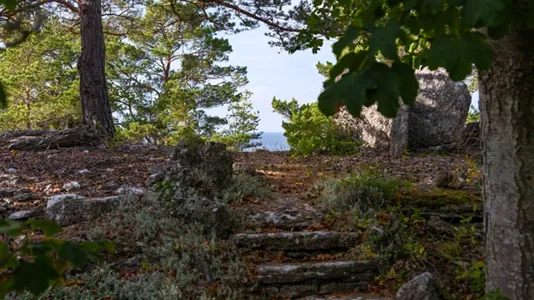 Fritidshus till salu i Gotland - foto 6