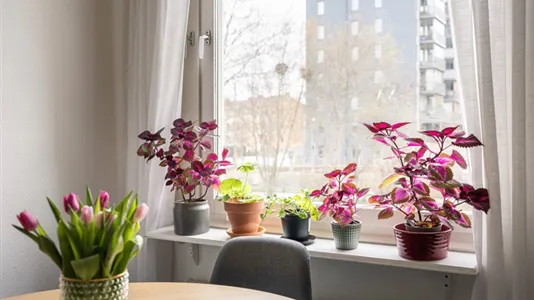 Bostadsrätter till salu i Hammarbyhamnen - foto 12