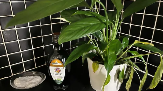 Rum i Lundby - foto 8