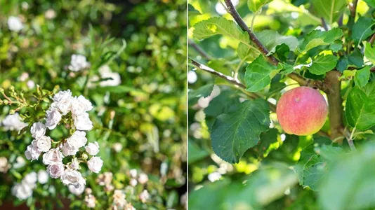 Bostadsrätter till salu i Huddinge - foto 8