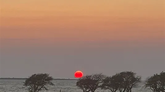 Hus till salu i Gotland - foto 6