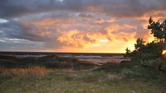 Fritidshus till salu i Gotland - foto 3