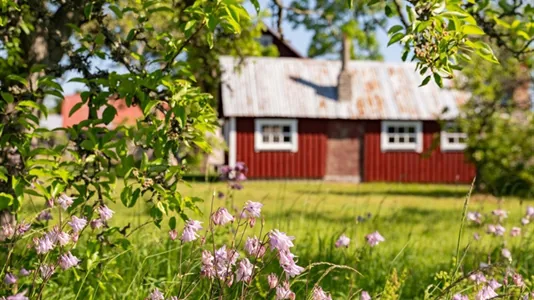 Fritidshus till salu i Gotland - foto 3