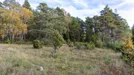 Tomt till salu, Gotland, Klintehamn, &lt;span class=&quot;blurred street&quot; onclick=&quot;ProcessAdRequest(5375958)&quot;&gt;&lt;span class=&quot;hint&quot;&gt;Se gatunamn&lt;/span&gt;[xxxxxxxxxx]&lt;/span&gt;