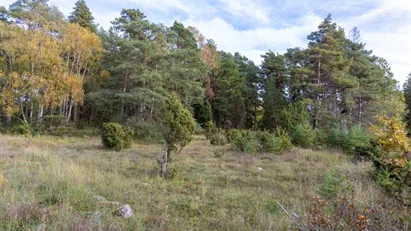Tomt i naturskönt läge nära kusten i Eksta
